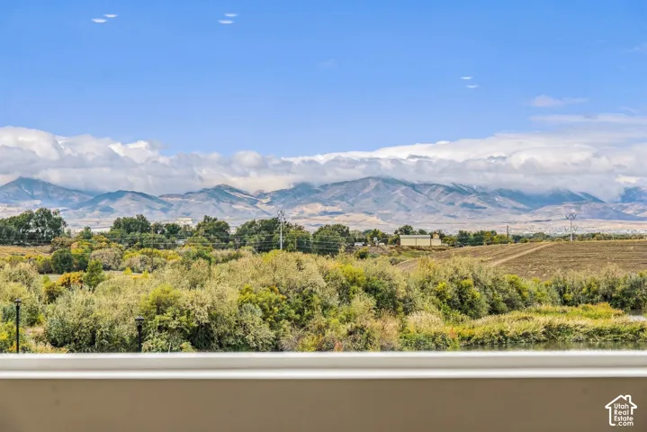 Panoramic mountain backdrop featuring mature trees and open terrain