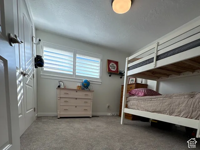 Neutral-toned carpeting, dual-panel interior doors with lever hardware, and window coverings featuring adjustable horizontal blinds