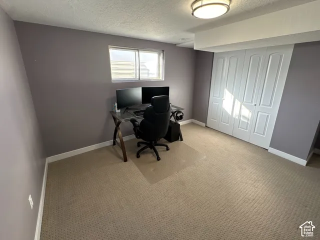 Neutral-toned room featuring wall-to-wall carpeting, dual-panel closet doors, a flush-mount light fixture, and a single slider window