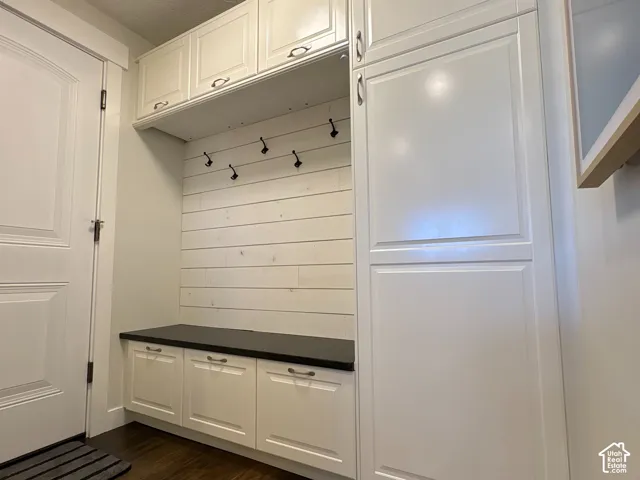 Built-in cabinetry featuring shaker-style doors, horizontal shiplap wall paneling, matte black metal hooks, a dark-toned countertop, and wood-finish flooring