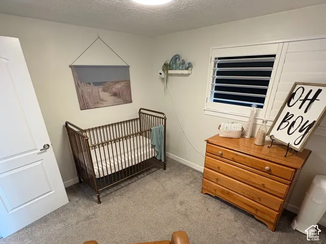 Neutral carpeting, adjustable interior window shutters, and a ceiling-mounted flush light fixture