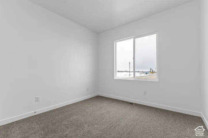 Neutral-toned wall paint, neutral-toned wall-to-wall carpeting, and a sliding glass window