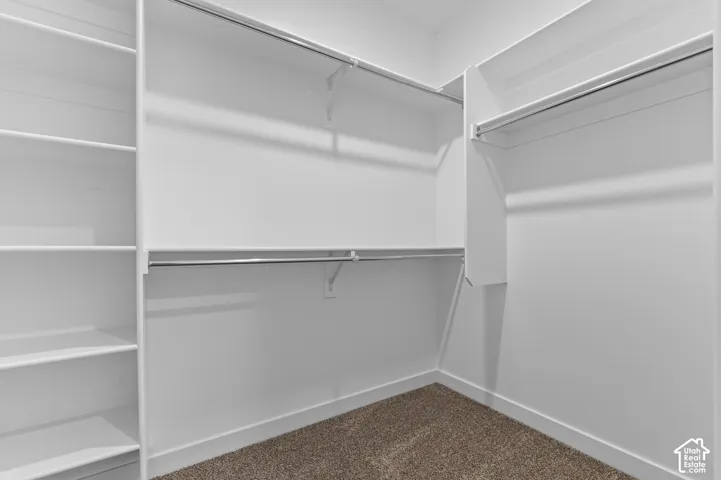 Custom closet featuring tiered built-in shelving, double-tier metal hanging rods, and neutral carpeting