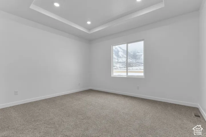 Tray ceiling with recessed lighting, neutral carpeting, and a mountain backdrop