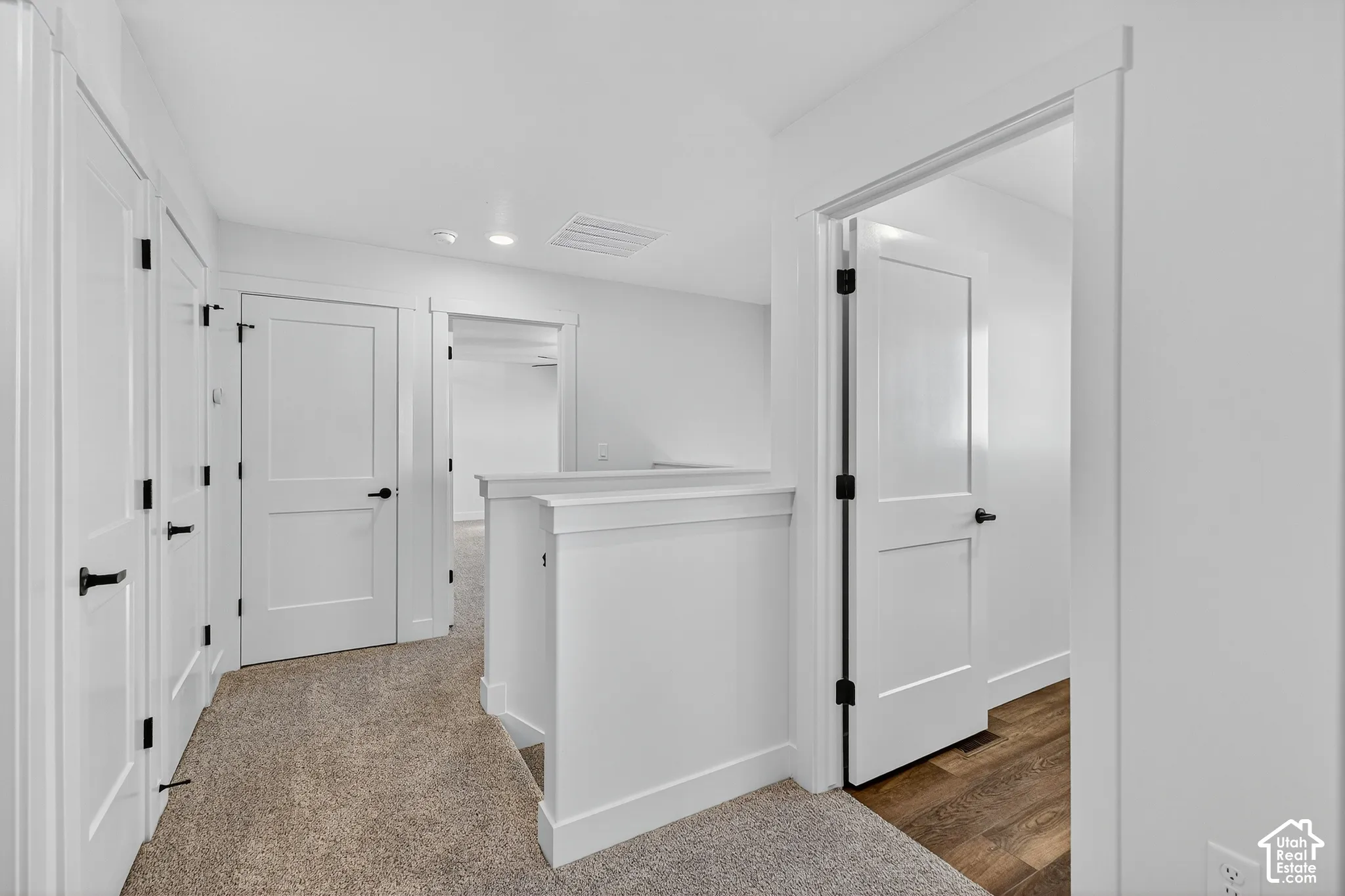 Interior hallway featuring neutral carpeting, white paneled doors with matte black hardware, and wood-finish flooring