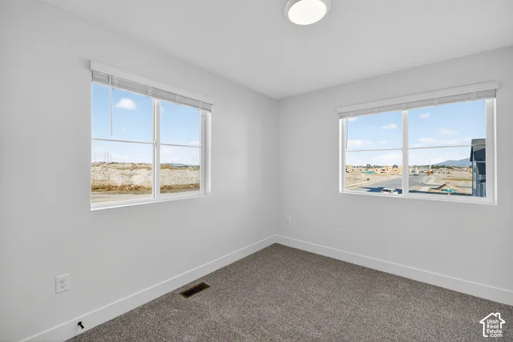Neutral-toned interior room featuring wall-to-wall carpeting, dual-pane windows with horizontal blinds, and a circular flush-mount ceiling light fixture
