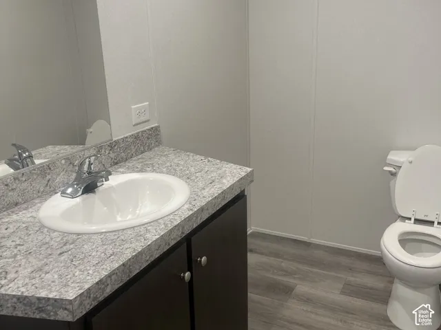 Vanity featuring a stone-patterned countertop, oval drop-in sink, chrome faucet, dark cabinetry, and wood-finish flooring