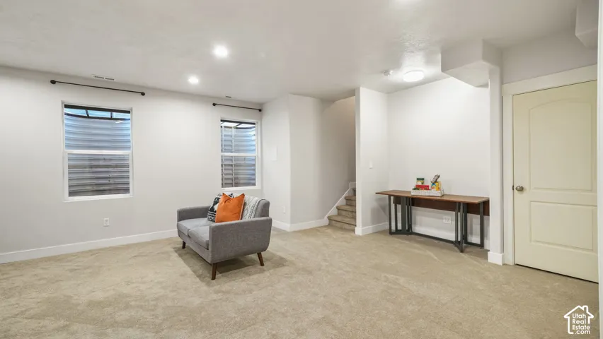 Basement flex room & storage closet