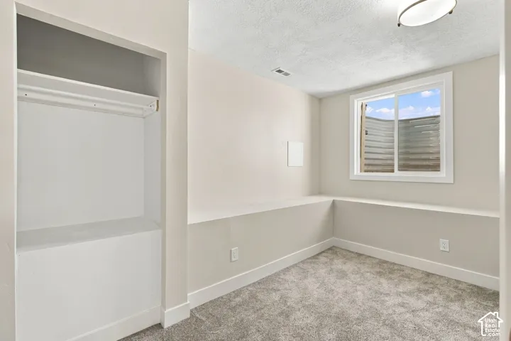 Room featuring neutral wall-to-wall carpeting, recessed closet space with integrated shelving, ledge detail, and window with corrugated metal window well