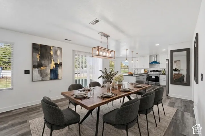 Open-concept kitchen and dining area featuring wood-finish flooring, white shaker-style cabinetry, stainless steel appliances, and a rectangular metal-framed pendant light fixture