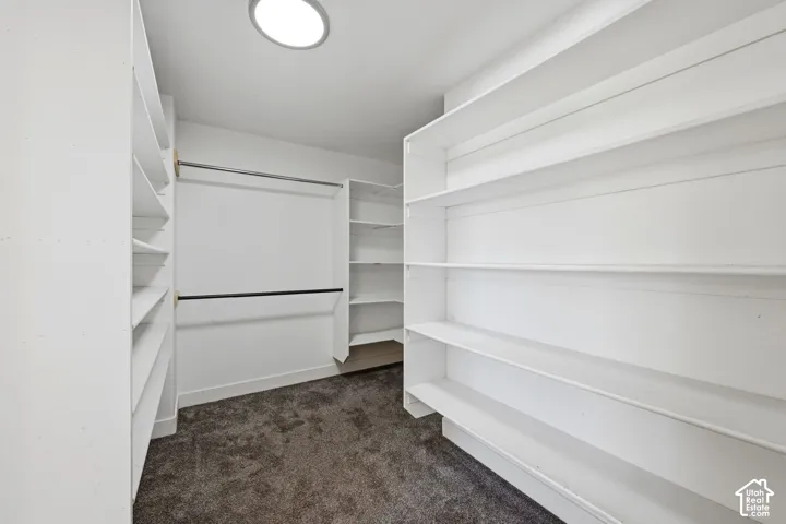 Walk-in closet featuring extensive built-in white shelving, dual hanging rods, flush-mount ceiling lighting, and wall-to-wall carpeting