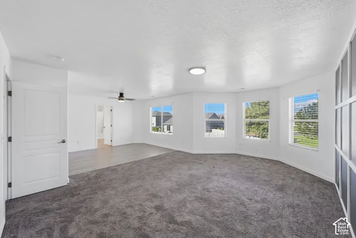 Spacious room featuring carpeting, wood-finish flooring, a multi-paneled window bay, a ceiling-mounted light fixture, and a ceiling fan