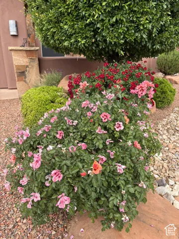 Landscaped garden featuring mature shrubbery, flowering rose bushes, stone ground cover, and a stacked stone pillar element