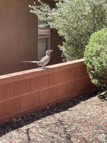 Stucco exterior wall featuring a masonry block retaining wall and desert landscaping