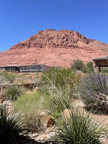 Xeriscape grounds featuring native desert vegetation, ornamental grasses, river rock accents, and a dramatic red rock mountain backdrop