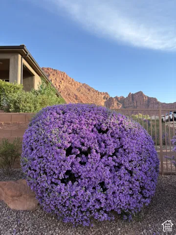Stucco exterior featuring red rock mountain scenery, xeriscaped rock garden, flowering shrubbery, and metal perimeter fencing