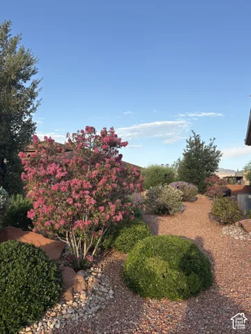 Landscaped grounds featuring stone ground cover, ornamental flowering trees, manicured shrubs, and decorative boulder accents