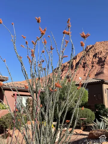 Ocotillo plant with vibrant orange blooms set against a desert landscape featuring stucco exterior and clay tile roofing