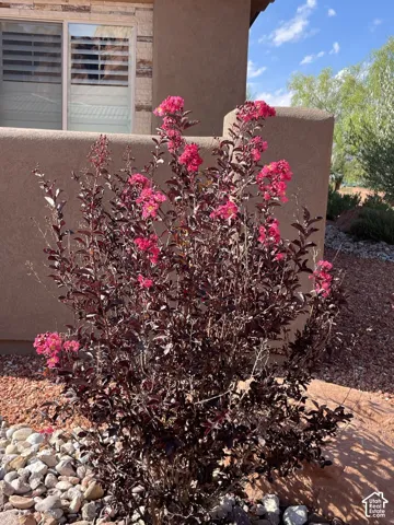 Stucco exterior with stone veneer accents, landscaped grounds featuring decorative river rock, and flowering shrubbery
