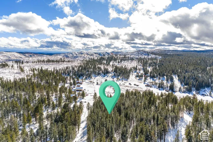 Aerial perspective of forested acreage featuring dense evergreen timber and mountainous terrain