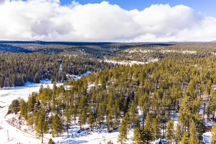 Expansive property featuring mature evergreen trees, dense forest coverage, and seasonal snow cover