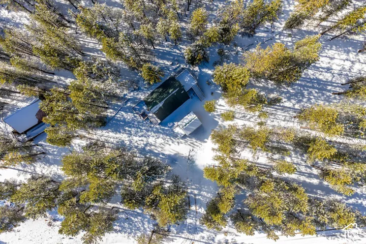 Aerial perspective of a detached residential structure and secondary outbuilding situated on a forested lot characterized by mature coniferous trees and extensive snow cover