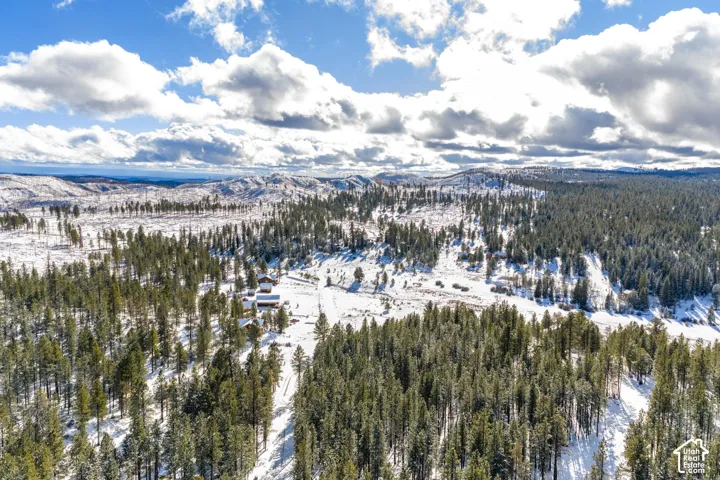 Aerial perspective featuring expansive acreage, extensive evergreen forest coverage, and mountain terrain