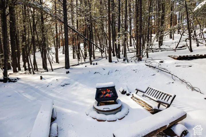 Circular stone fire pit featuring a metal fire bowl, surrounded by a dense forest of mature evergreen trees