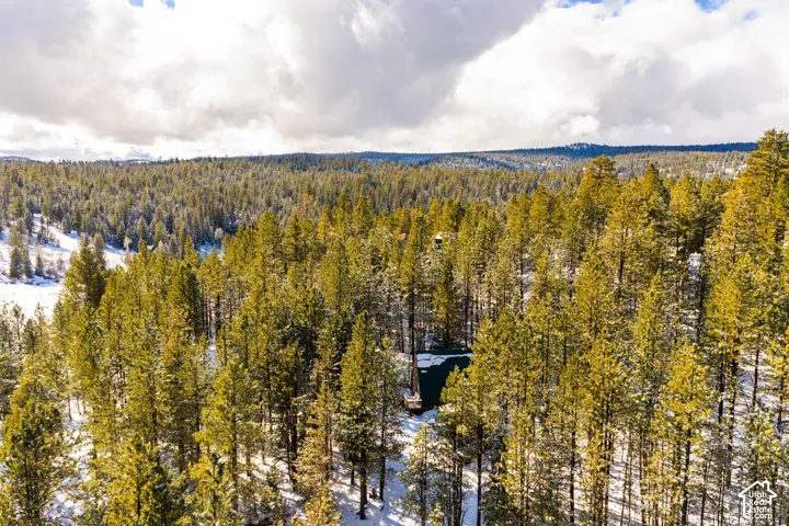 Expansive natural lot featuring dense mature coniferous forest, rolling topography, and mountainous horizon