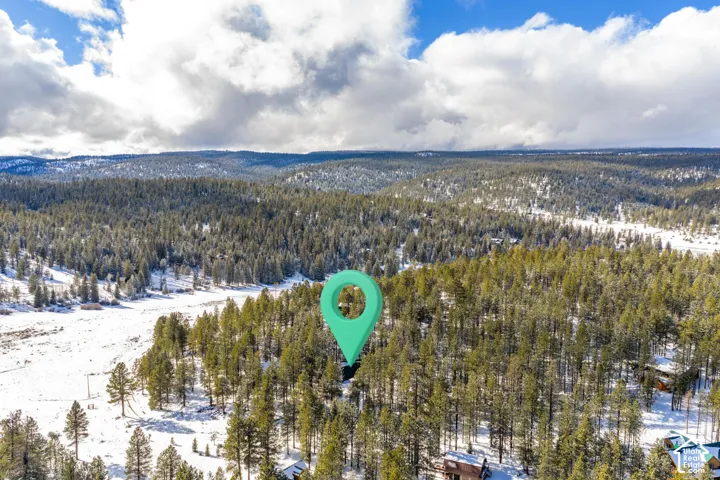 Aerial perspective featuring dense pine forest and mountainous terrain