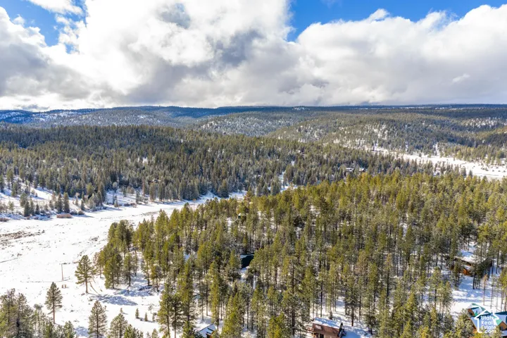 Aerial perspective featuring expansive evergreen forest, snow-covered open terrain, and rugged mountain topography