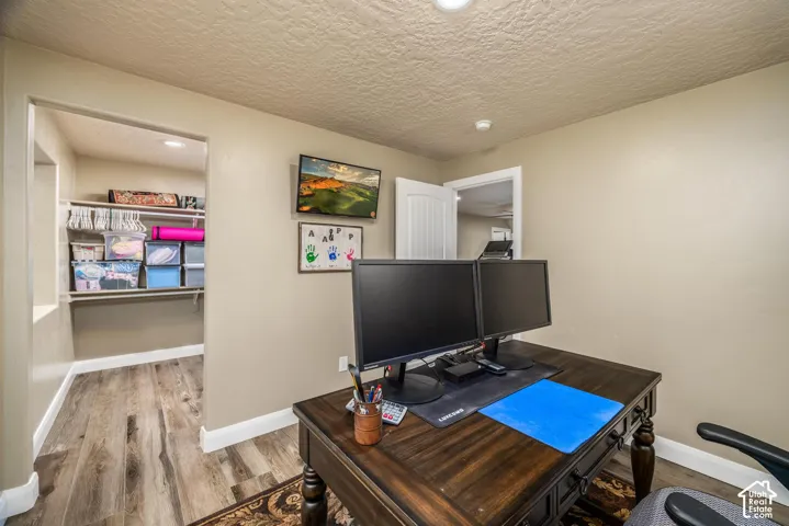 Room featuring neutral-toned walls, wood-finish flooring, and a walk-in closet with integrated shelving