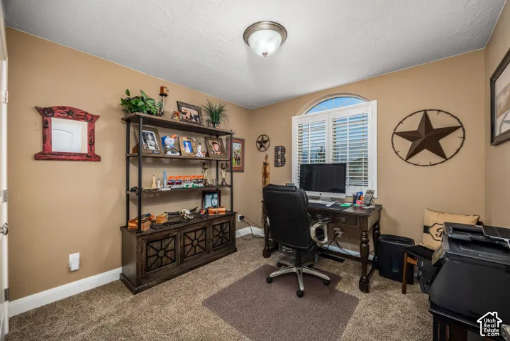 Arched window featuring white plantation shutters and neutral carpeting