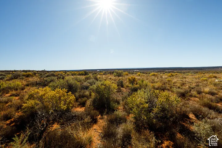 Expansive desert parcel featuring native shrubbery, indigenous flora, and natural red earth terrain