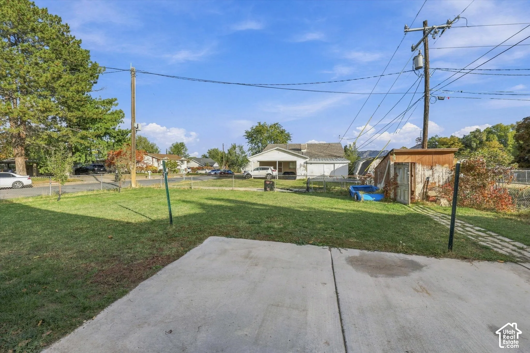 Rear yard featuring a concrete patio, open lawn space, mature trees, and a detached wooden structure