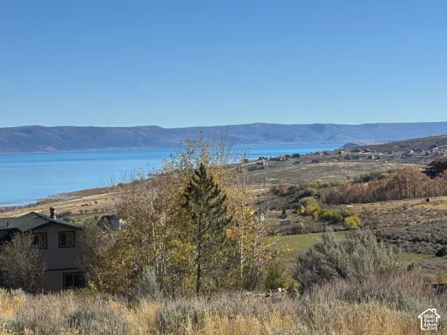 Expanse of natural terrain featuring mature coniferous trees and distant mountain range silhouettes overlooking a large body of water
