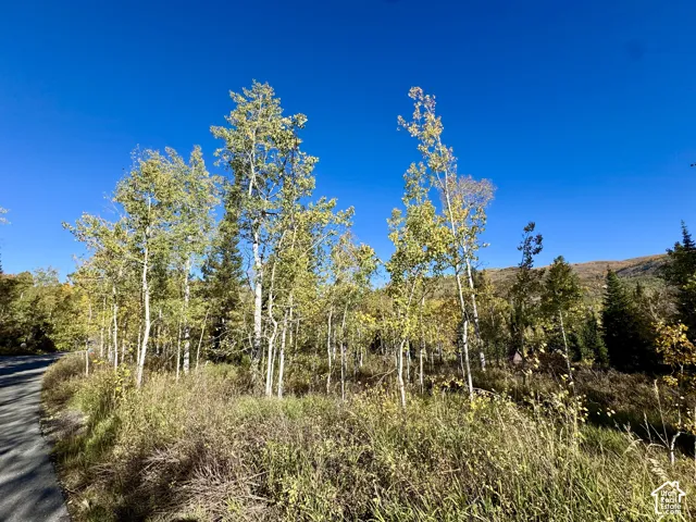 58 Uintah Dr, Oakley, Utah 84055