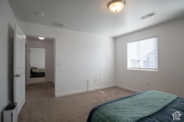 Neutral wall finishes, plush carpeting, multi-panel interior door, and window with installed horizontal blinds