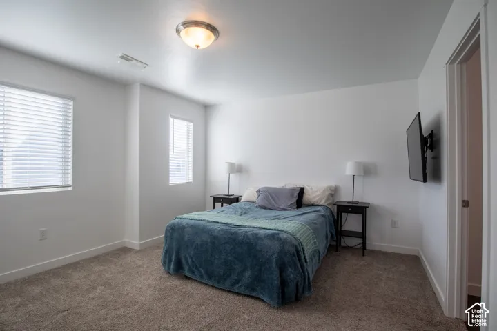 Neutral-toned carpeted flooring, dual windows with horizontal blinds, and a dome-style flush mount ceiling light fixture