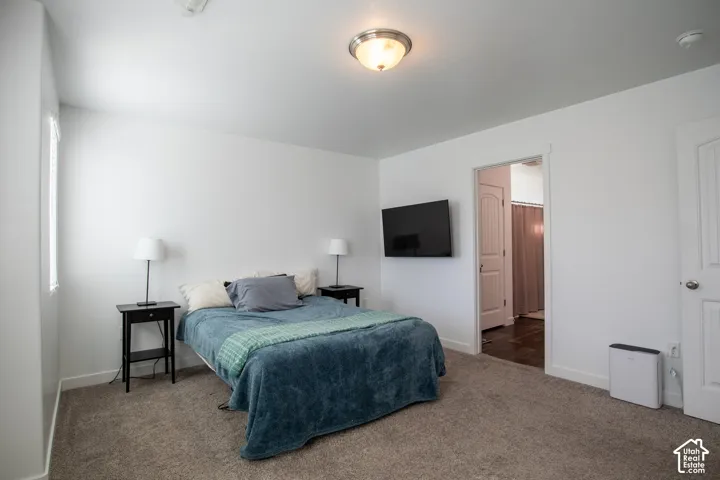 Neutral interior featuring wall-to-wall carpeting, flush-mount lighting, and solid-core paneled interior doors