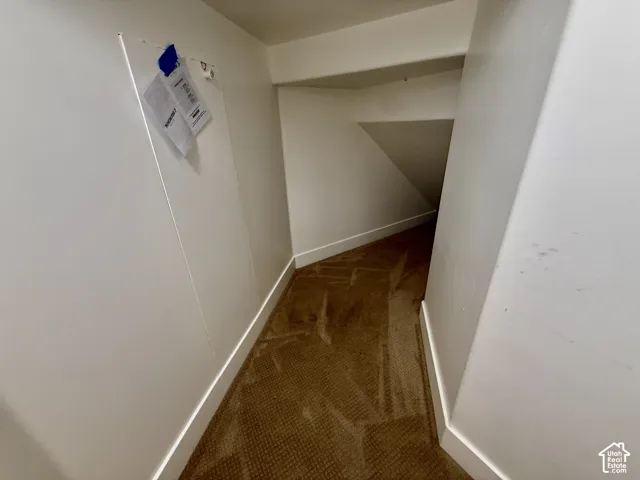 Enclosed storage area featuring carpeted flooring, neutral wall finishes, and an integrated access panel that is a hidden builtin wall safe