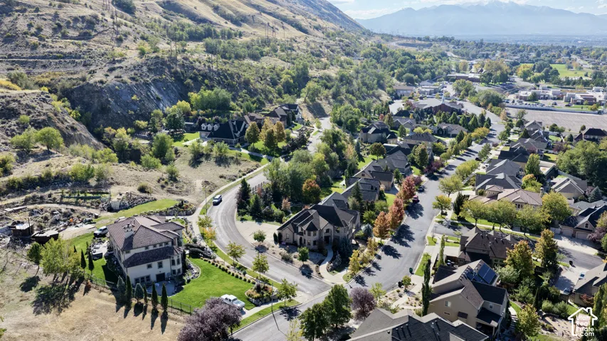 Aerial perspective of a hillside residential neighborhood featuring multi-story dwellings, mature deciduous and coniferous trees, manicured lawns, and mountainous topography