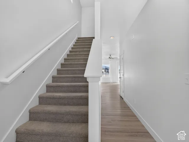 Carpeted staircase featuring a white wooden handrail and painted newel post, finished with wood-finish flooring and neutral wall tones