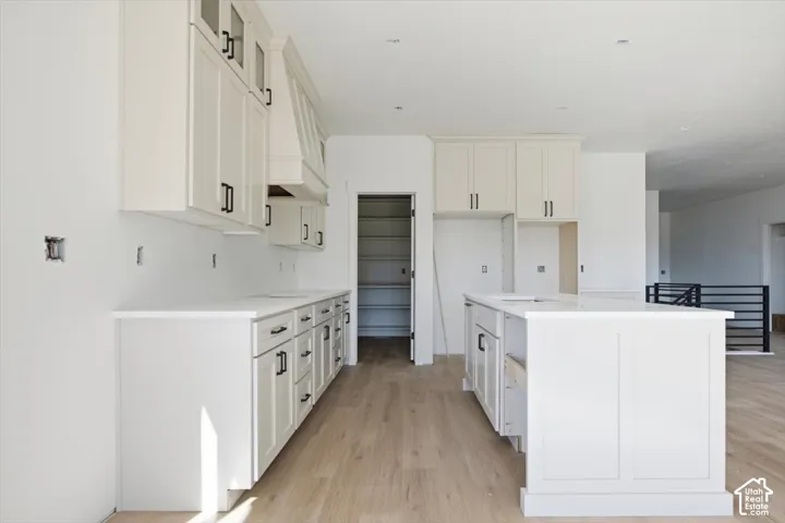 Kitchen featuring light-toned shaker cabinetry, stone-finish countertops, a central island with built-in cabinetry, walk-in pantry, and wood-finish flooring