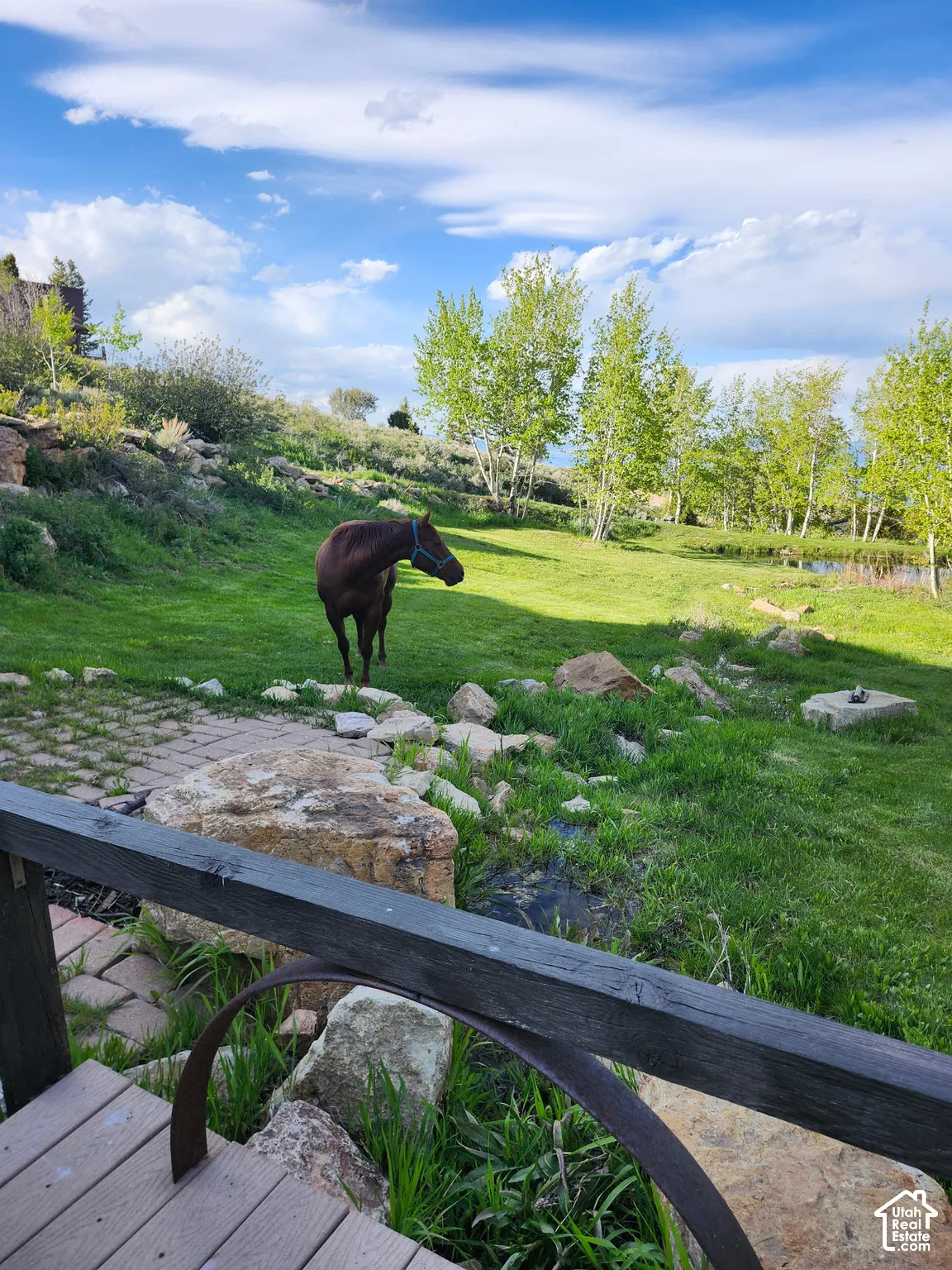 Expansive grounds featuring a natural landscape, mature trees, tiered rock outcroppings, and a paved stone patio