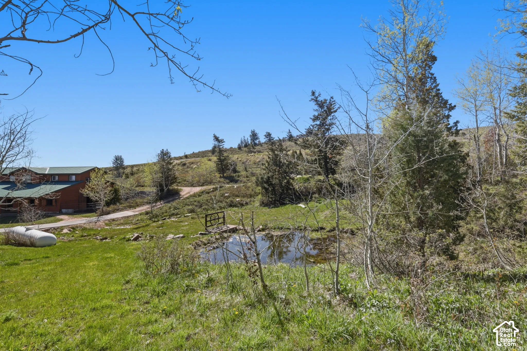 Expansive natural grounds featuring a private pond, mature trees, open grassy areas, and rolling terrain