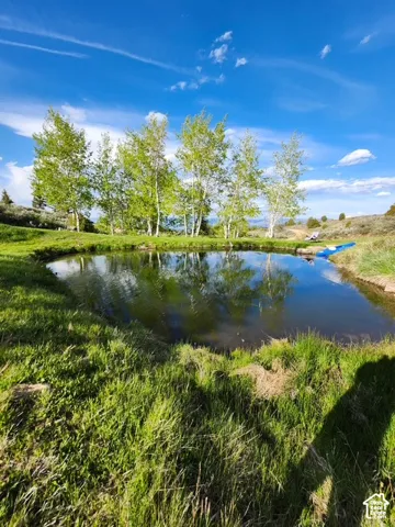 Private pond surrounded by mature deciduous trees and open, landscaped grounds
