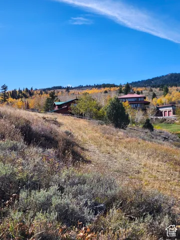 Expansive mountain acreage featuring rolling terrain, mature deciduous trees, native vegetation, and a multi-level structure with a detached garage