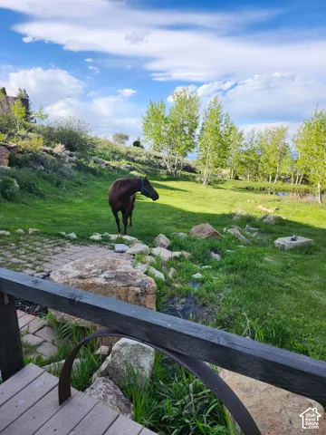 Expansive grounds featuring a natural landscape, mature trees, tiered rock outcroppings, and a paved stone patio