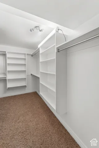 Walk-in closet featuring white built-in shelving, integrated hanging rods, wall-to-wall carpeting, and a dual-bulb flush mount ceiling fixture